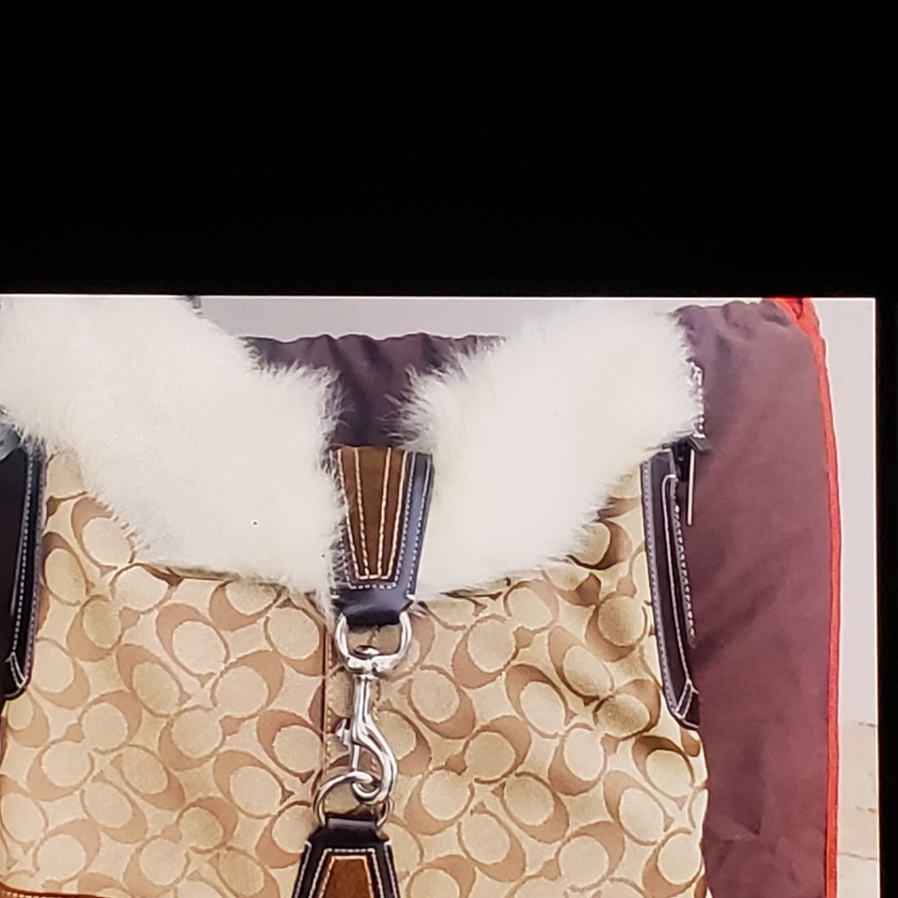 Coach Purse - Picture 4 of 5